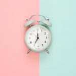 This Fat Cat Proves That Cats Are Happiest When They’re on an Adventure