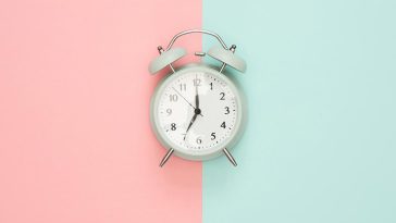 This Fat Cat Proves That Cats Are Happiest When They’re on an Adventure